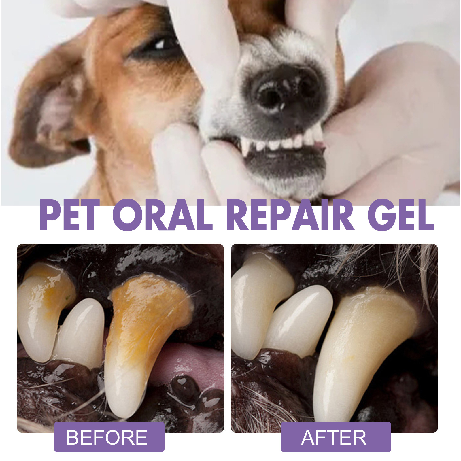 Pet Oral Repair Gel Puppy Tart - đánh giá và giá Teeth Whitening Q&M