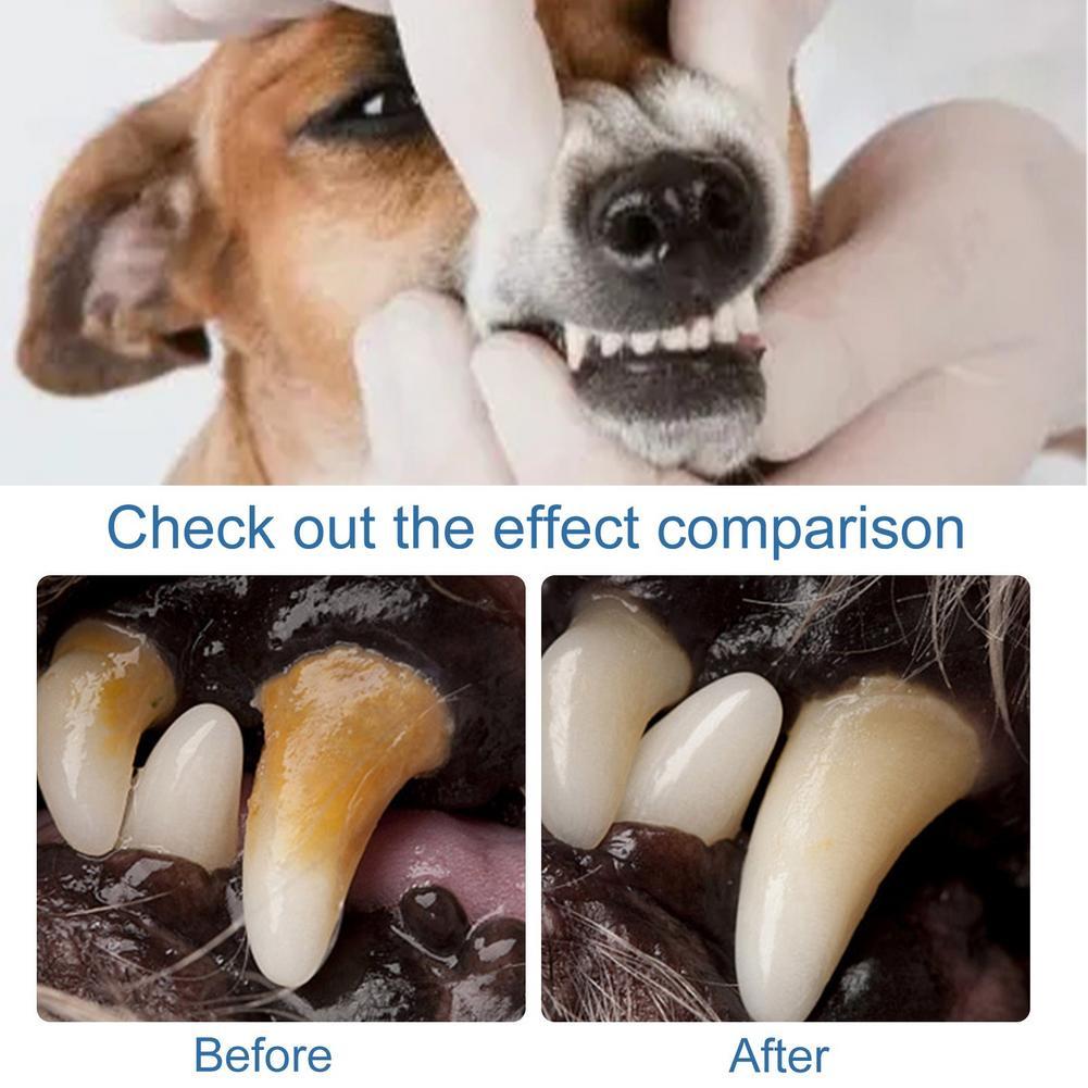 60ml Pet Oral Tartar Remover S - đánh giá và giá Teeth Whitening Yellow Teeth