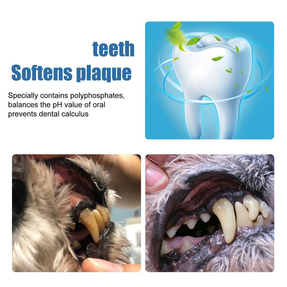 60ml Pet Oral Tartar Remover S - đánh giá và giá Teeth Whitening Yellow Teeth